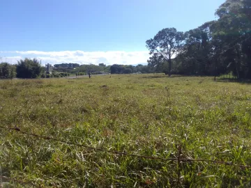 imagem 4 - Área comercial à venda de 265.000m² | Jardim das Flores - São José dos Campos | imagem 4 - Área comercial à venda de 265.000m² | Jardim das Flores - São José dos Campos |