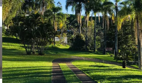 imagem 2 - Chácara à venda de 10.000m² | 03 dormitórios, sendo 01 suíte, 03 banheiros e 04 vagas de garagem | Bairro Pau de Saia | Recanto Ippensen | São José dos Campos | imagem 2 - Chácara à venda de 10.000m² | 03 dormitórios, sendo 01 suíte, 03 banheiros e 04 vagas de garagem | Bairro Pau de Saia | Recanto Ippensen | São José dos Campos |