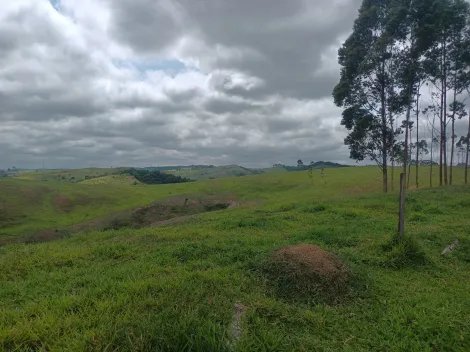 imagem 3 - Área à venda de 254.000m² | Jardim Maria Amélia | Jacareí | imagem 3 - Área à venda de 254.000m² | Jardim Maria Amélia | Jacareí |