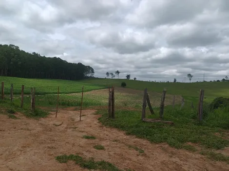 imagem 5 - Área à venda de 254.000m² | Jardim Maria Amélia | Jacareí | imagem 5 - Área à venda de 254.000m² | Jardim Maria Amélia | Jacareí |