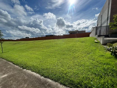 imagem 4 - Terreno comercial à venda de 490m²   Urbanova | São José dos Campos | imagem 4 - Terreno comercial à venda de 490m²   Urbanova | São José dos Campos |