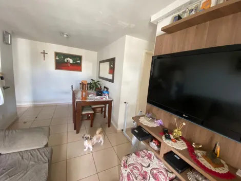 imagem 2 - Apartamento à Venda de 65m² | 03 dormitórios sendo 01 suíte e 01 vaga de garagem | Spazio Campo Alvorada - Jardim América imagem 2 - Apartamento à Venda de 65m² | 03 dormitórios sendo 01 suíte e 01 vaga de garagem | Spazio Campo Alvorada - Jardim América