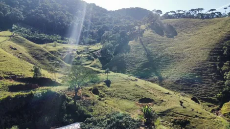 imagem 1 - Sítio á venda de 75.000,00m² | Centro - São Francisco Xavier | imagem 1 - Sítio á venda de 75.000,00m² | Centro - São Francisco Xavier |