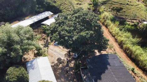 imagem 1 - Sítio à venda de 122.000,00m² | Centro - São Francisco Xavier | imagem 1 - Sítio à venda de 122.000,00m² | Centro - São Francisco Xavier |