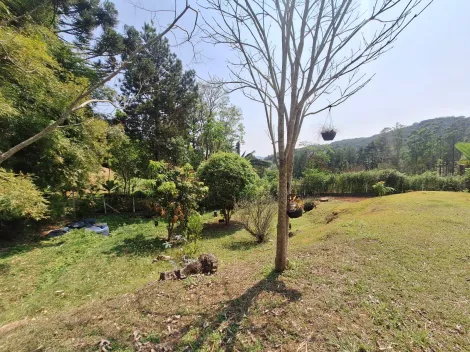 imagem 1 - Terreno à venda de 1.333,40m² | Rio Preto de Baixo - Santo Antônio do Pinhal | imagem 1 - Terreno à venda de 1.333,40m² | Rio Preto de Baixo - Santo Antônio do Pinhal |