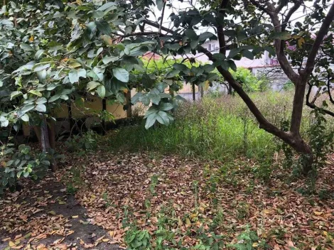 imagem 5 - Casa comercial para venda e locação de 154m² | 02 banheiros e 07 vagas de garagem | Vila Ema - São José dos Campos | imagem 5 - Casa comercial para venda e locação de 154m² | 02 banheiros e 07 vagas de garagem | Vila Ema - São José dos Campos |