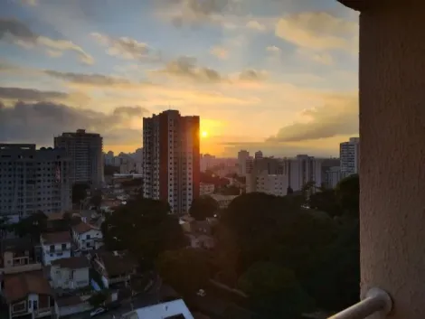 imagem 3 - Apartamento à venda de 65m² | 02 dormitório, sendo 01 suíte e 02 vagas de garagem | Edifício Vivendas do Apolo - Jardim Apolo II | São José dos Campos | imagem 3 - Apartamento à venda de 65m² | 02 dormitório, sendo 01 suíte e 02 vagas de garagem | Edifício Vivendas do Apolo - Jardim Apolo II | São José dos Campos |