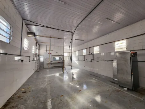 imagem 1 - Galpão Industrial para locação e venda de 195m² | Parque Industrial | São José dos Campos | imagem 1 - Galpão Industrial para locação e venda de 195m² | Parque Industrial | São José dos Campos |