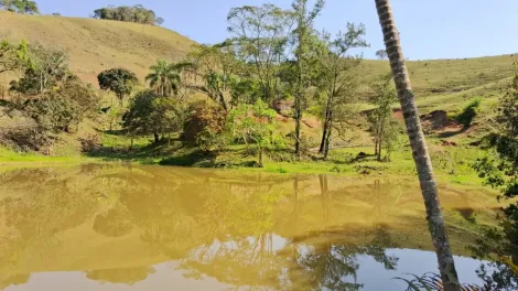 imagem 1 - Terreno à venda de 21.680,00m² |  Bairro dos Freitas | São José dos Campos | imagem 1 - Terreno à venda de 21.680,00m² |  Bairro dos Freitas | São José dos Campos |