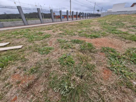 imagem 4 - Terreno à venda de 275m² | Condominío Reserva Rudá - Loteamento Floresta | São José dos Campos | imagem 4 - Terreno à venda de 275m² | Condominío Reserva Rudá - Loteamento Floresta | São José dos Campos |