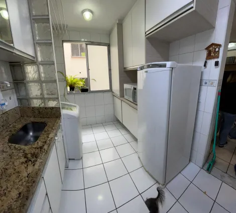imagem 1 - Apartamento à venda de 45m²  Vago | 02 dormitórios e 01 vaga de garagem | Edifício Paloma - Jardim Satélite | São José dos Campos | imagem 1 - Apartamento à venda de 45m²  Vago | 02 dormitórios e 01 vaga de garagem | Edifício Paloma - Jardim Satélite | São José dos Campos |