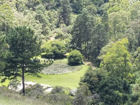 imagem 5 - Área à venda de 170.000m² |  São Francisco | Campos do Jordão | imagem 5 - Área à venda de 170.000m² |  São Francisco | Campos do Jordão |